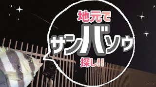 北海道で釣れたサンバソウを知らずにリリースしたので、もう一度釣って食いたい