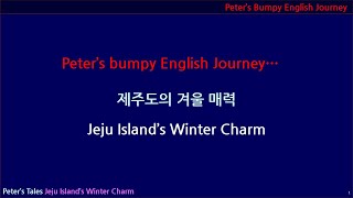 [Journey] 제주도의 겨울 매력 (Jeju Island’s Winter Charm)