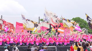 [4K] 京都よさこい連 心粋 2024年度演舞 『天桜(てんか)』初披露　犬山踊芸祭 2024 日曜日