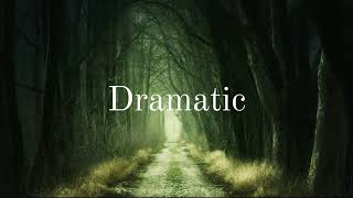 Dramatic Emotional Epic Music|Spirit|No Copyright Music
