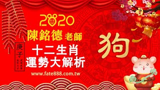 陳銘德老師2020庚子金鼠年12生肖運勢大解析_狗