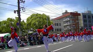 福山バラ祭り2018ローズパレード備後男組