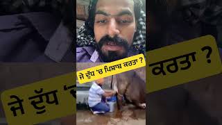 ਜੇ ਦੁੱਧ ‘ਚ ਪਿਸ਼ਾਬ ਕਰਤਾ ? #maanbrar #reaction #punjabifarmers #farming #cow #milk #cowfarming #viral