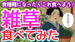 【サバイバル】もしも食糧難になったらこれ食べよう！雑草食べてみた