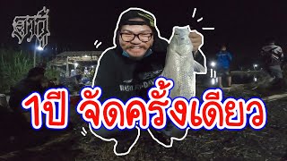 อากู๋ EP.35 แข่งตกปลากะพงแมตซ์กลางคืน