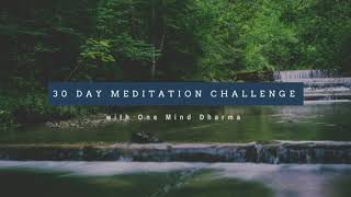 Day 9 - Metta for Others (30 Day Meditation Challenge)