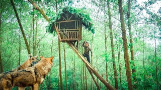 Build Bushcraft Camp \u0026 Survival Shelter, Attacked by Wild Wolf, Bushcraft Safe Survival in the Tree