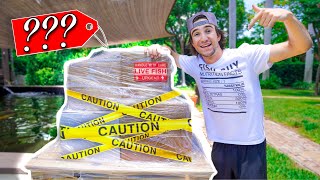 Ordering GIANT MYSTERY FISH PALLET Online! (so many fish)