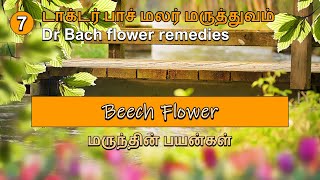 டாக்டர் பாச் மலர் மருத்துவம் - Dr Bach flower remedies - Beech