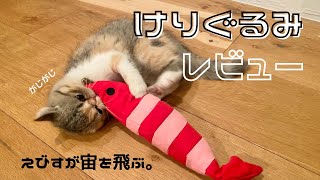 【レビュー】けりぐるみと空飛ぶ猫