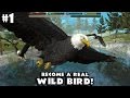 Ultimate Bird Simulator By Gluten Free Games - Android/iOS - Gameplay Part 1