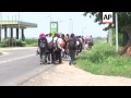 Migrants continue march to Serbia-Hungary border