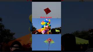 #makarsankranti #makar #sakranti #patang #kite #kiteflying #patangbazi #festival #jaipur #india #fyp