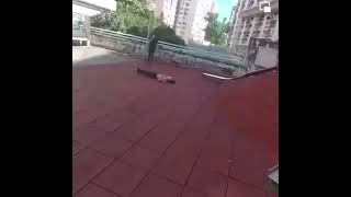 Super  Parkour  ~WoW  跑酷意外！OMG