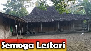 Kompilasi Rumah Tradisional Limasan Sragen Jawa Tengah | Semoga Tetap Lestari