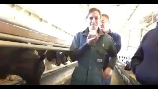 Virtual Field Trip to a Pennsylvania Veal Farm - 10/23/18 - Jeff & Dana Gessner