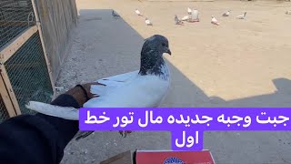 جبت وجبه تور جدد كلولي حلوه لو لا🤔