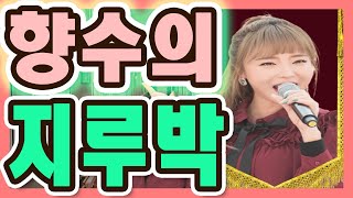 [트로트 메들리] 청춘은 살아있다 향수의 지루박 메들리