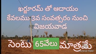 3  years  నుండి ఆదాయం ఖర్జూర చెట్లు,శ్రీగంధం ప్రాజెక్ట్ తోలుకొడు,విజయవాడ లొ 939 789 6789