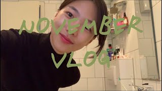 Köln Vlog | November Vlog. 잔잔하게 흘러가는 하루하루의 기록