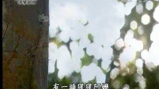 20110923《靜思晨語。法譬如水》十身（一）