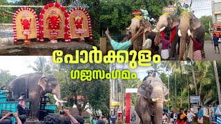 പെരുന്നാളിന് എത്തിയ ഗജവീരന്മാർ |🔥😍| porkulam perunnal 2024 | 🔥😍