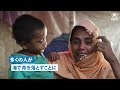 2023年 ロヒンギャ人道危機への共同対応計画