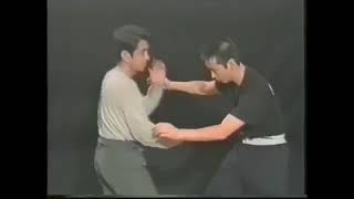 Chen Pan Ling Tai Chi Chuan Applications martiales