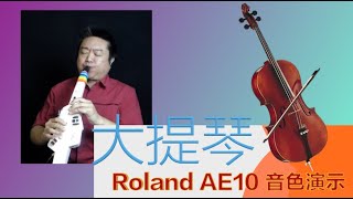 Roland电吹管AE10官方演示-大提琴音色 Cello