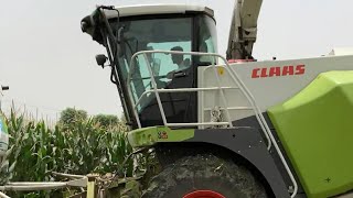 Jaguar class 850 | silage machine| imported| corn 🌽 | makki|