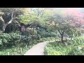 京都【浄瑠璃寺　2023紅葉】