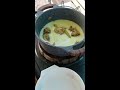 RESEPI masak lemak cili api nogori by IdamanVilla Nursery