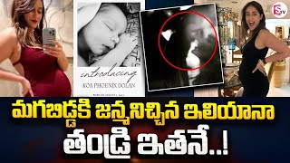 Actress Ileana Blessed With a Baby Boy | Actress Ileana Baby Bump | Actress Ileana Husband News