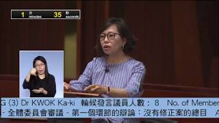 立法會會議《2018年撥款條例草案》麥美娟議員發言