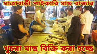 সামুদ্রিক, দেশী এবং চাষের মাছের দাম জানুন / Fish Market \u0026 Fish Prices 5 November 2024 || My Life