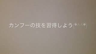 カンフーマスターへの道