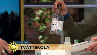 Ättika och citron - för den som vill tvätta rätt - Nyhetsmorgon (TV4)