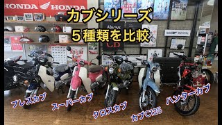 【比較】カブシリーズ５種を比べてみました｜タキガワホンダチャンネル