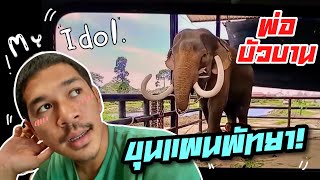 พ่อบัวบาน⚠️ขุนแผนเมืองพัทยา😂งาสวย😍ชื่นใจได้ใครมา🤪elephant