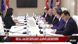 თეა ახვლედიანი პარლამენტში