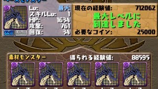 [パズドラ] バハムート：スキルレベル上げ成功率検証SkLv1⇒7