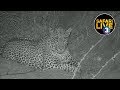 safariLIVE on SABC 3 S1 - Episode 2