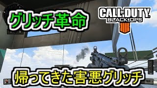 グリッチの新しいやり方紹介するぞ！【BO4】