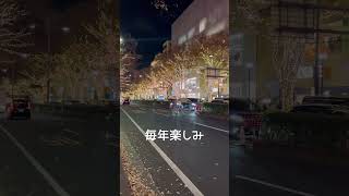 表参道イルミネーション  #クリスマス #shortvideo #shorts