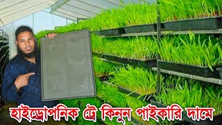 ঘাস চাষের জন্য সেরা ট্রে।হাইড্রোপনিক ট্রে কিনুন পাইকারি দামে