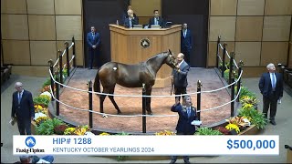 Curlin colt sells for $500,000 at Kentucky October Yearlings (2024)