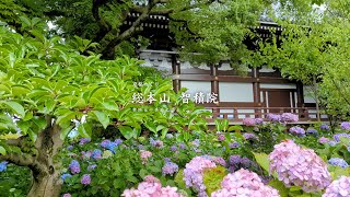 総本山 智積院【京都めぐり／HironTV】