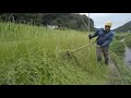 【草刈り】おすすめのナイロンコードで草刈り【切れ味バツグン】