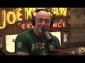 joe rogan wants a tibetan sky funeral