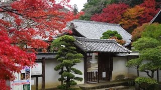 2016 秋 女人高野 室生寺の紅葉